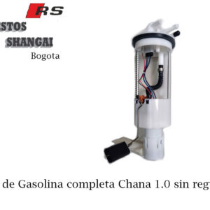 Bomba Completa para DFM DFSK 1300 sin regulador