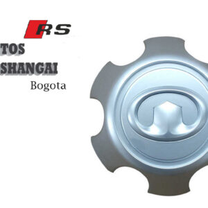 Centro de Rin Wingle Haval