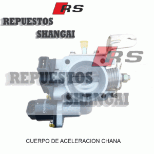 Cuerpo de Aceleracion Chana