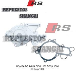 Bomba de agua dfm 1300